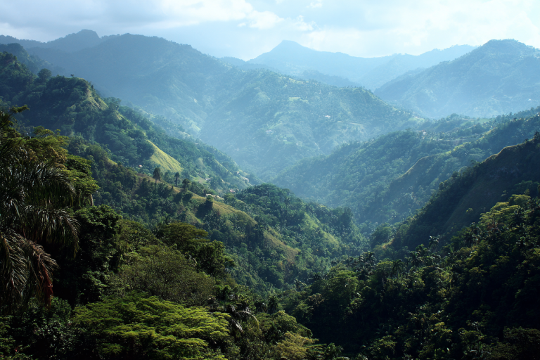 Blue Mountains Jamaica